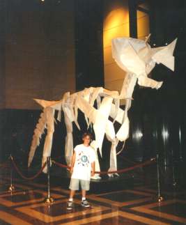 Eric Mitran and Triceratops skeleton